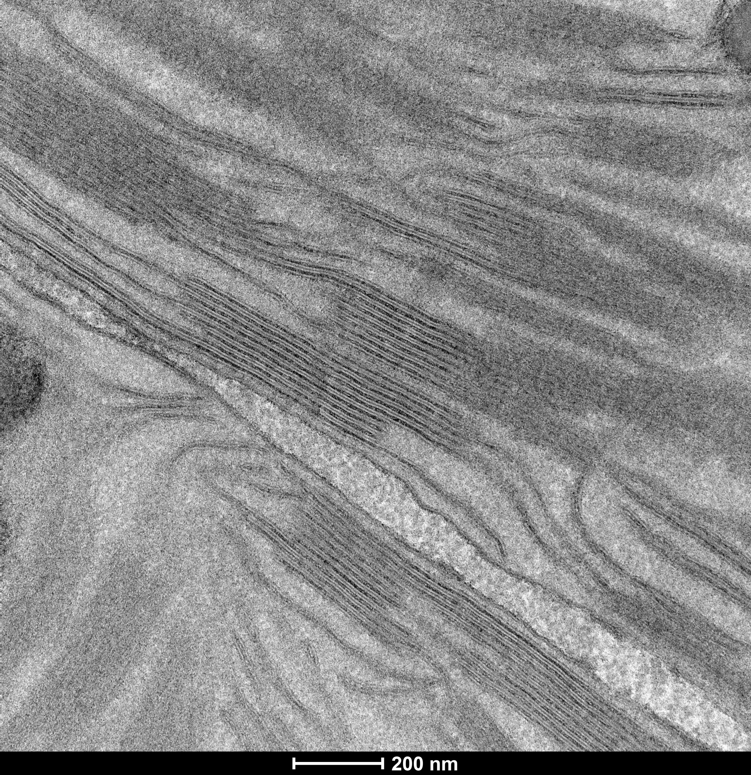 17.40.09 CCD Acquire_0007