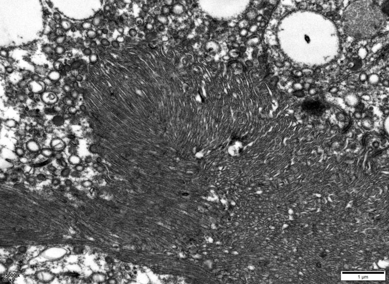 567e3bda5bdd93757f6bbabe9eca32bb