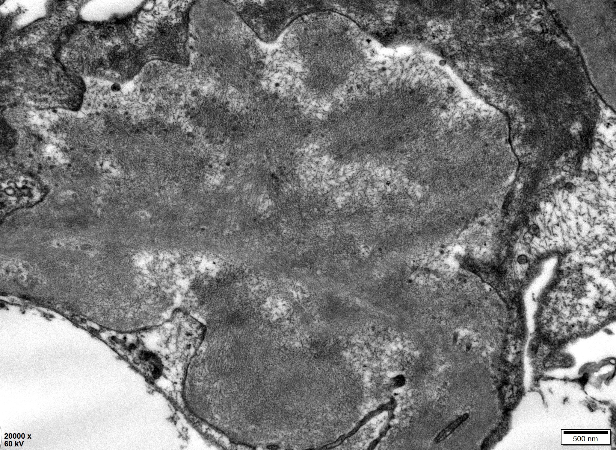 ad037609f5b335592a8ccdc217128e60