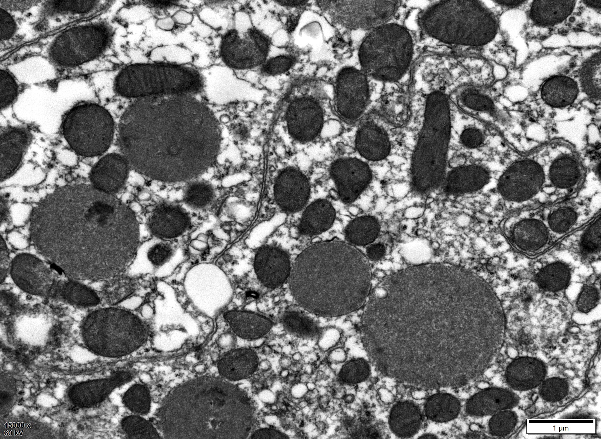 e8b9e577e33099557812d986e06bfa77